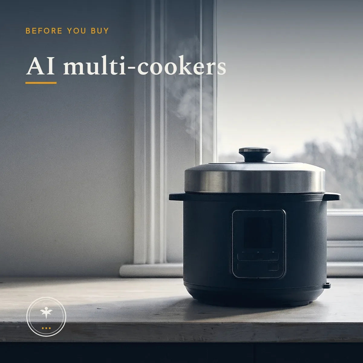 A plain dark multi-cooker with a brushed steel lid and a blank control panel, steaming gently on a pale wood counter beside a window, with a ceramic bowl and a folded linen cloth to one side.